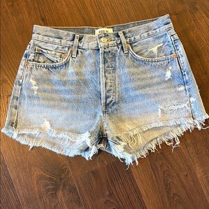 AGOLDE Parker Vintage Cut Off Short in SwapMeet